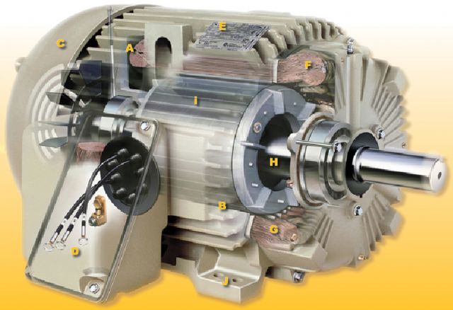 motor-safe_cutaway_motor1LR_uid22420121144131 | Dreisilker Electric Motors